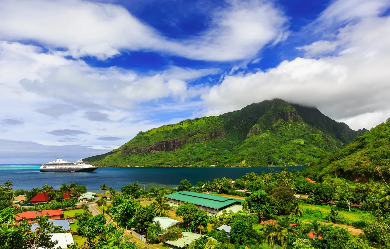 Photo wallpaper beach, tropics, thickets, island, resort