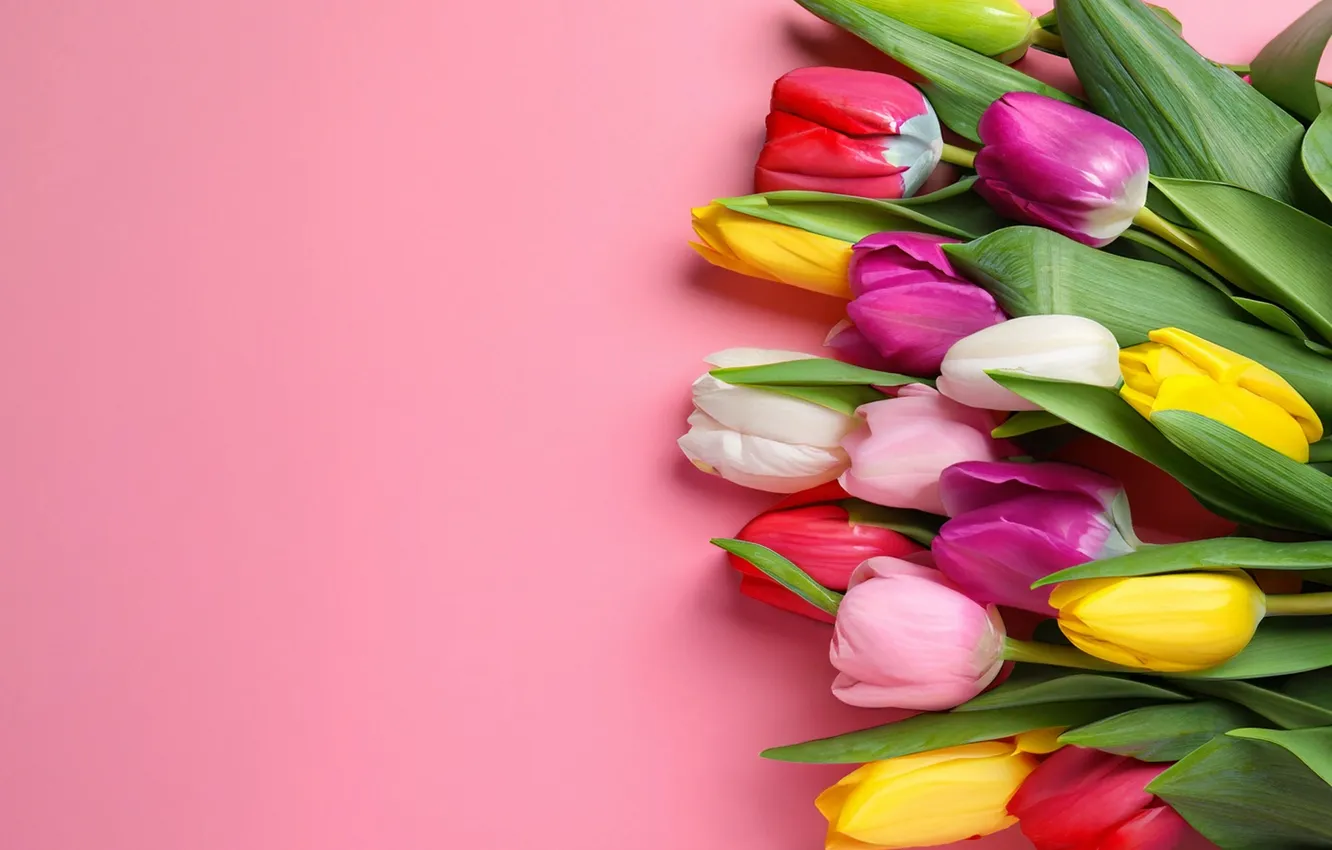 Photo wallpaper flowers, bouquet, colorful, tulips, flowers, tulips, spring, bouquet