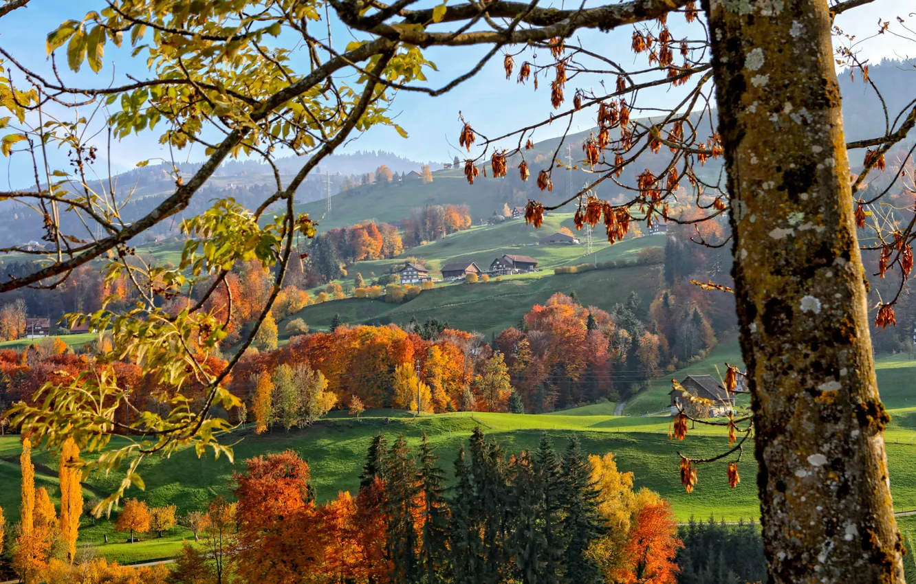 Photo wallpaper autumn, trees, mountains, home, slope, Alps
