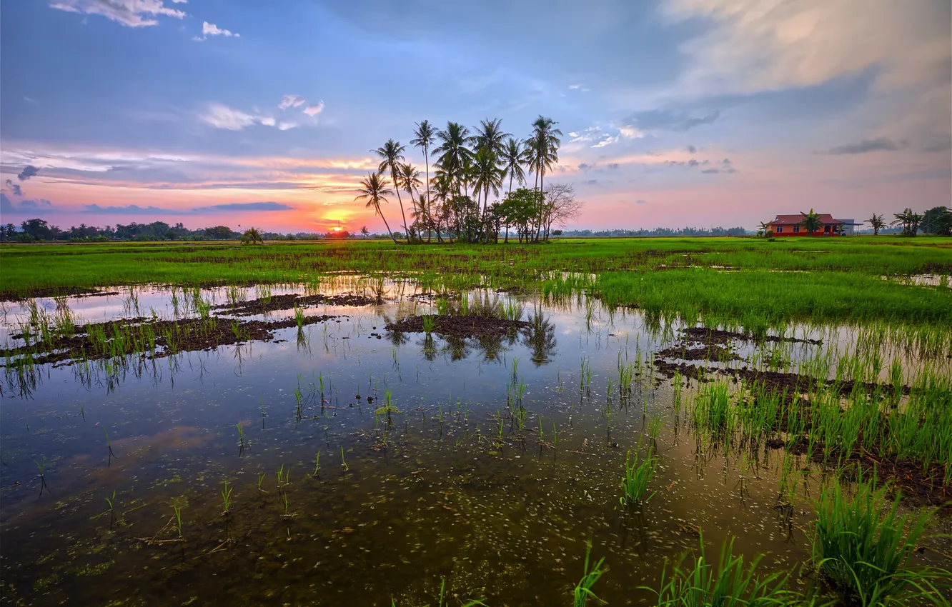 Photo wallpaper the sky, water, clouds, sunset, palm trees, home
