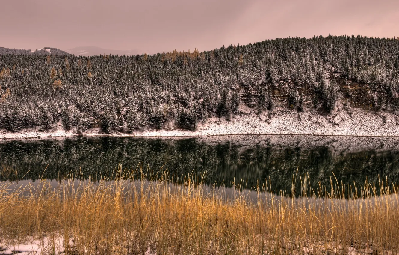 Photo wallpaper forest, landscape, river