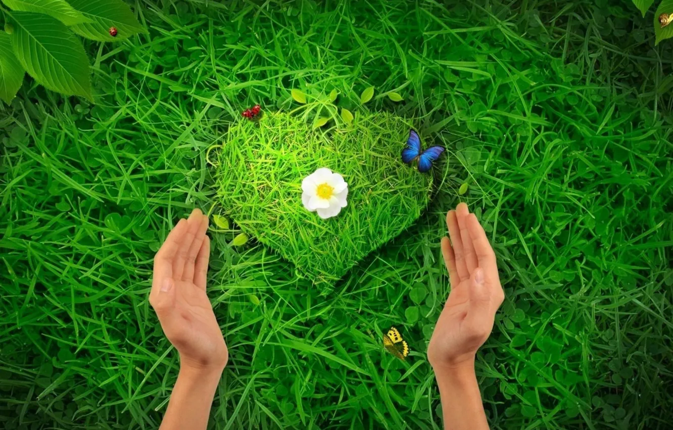 Photo wallpaper grass, heart, hands
