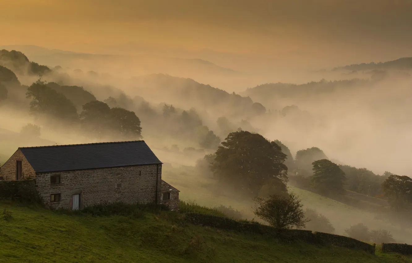 Photo wallpaper field, landscape, fog, home, morning