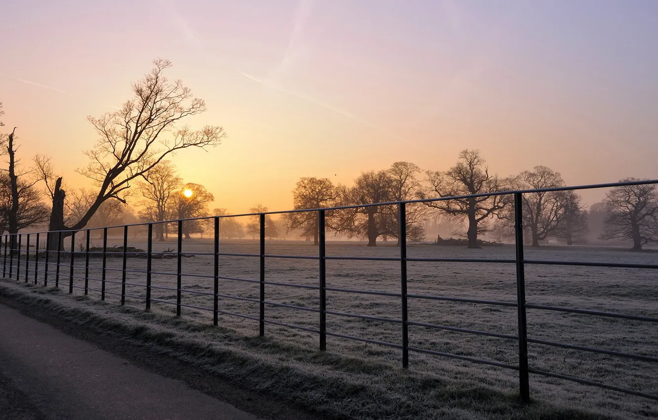 Photo wallpaper field, landscape, fog, the fence, morning