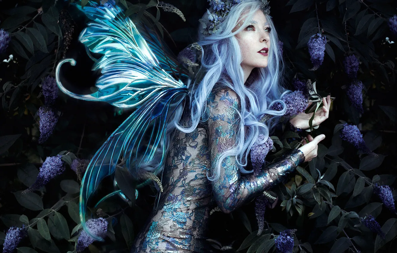 Photo wallpaper girl, pose, style, fairy, wings, wreath, Bella Kotak, Jessica Dru