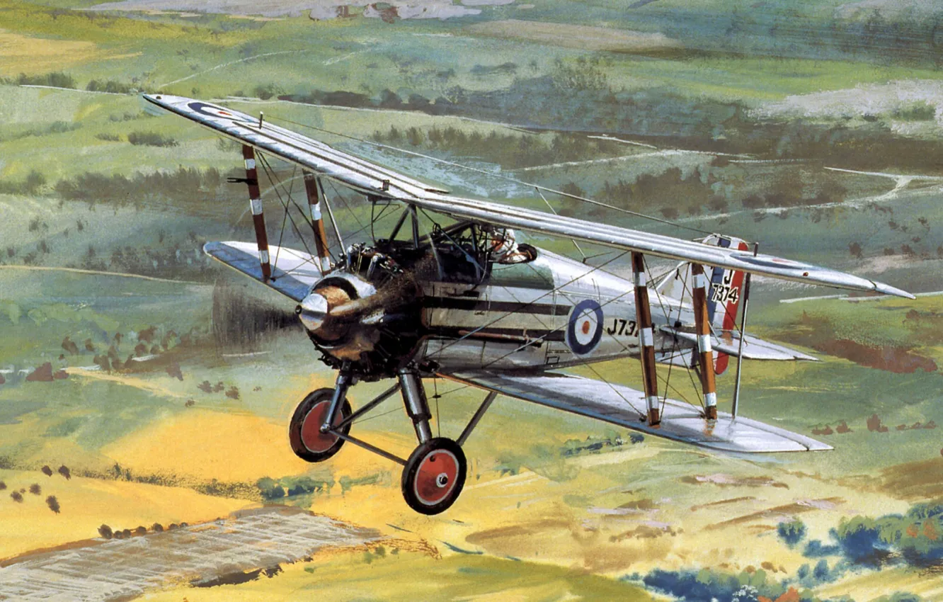Photo wallpaper wheels, aircraft, engine, biplane, Gloster Grebe