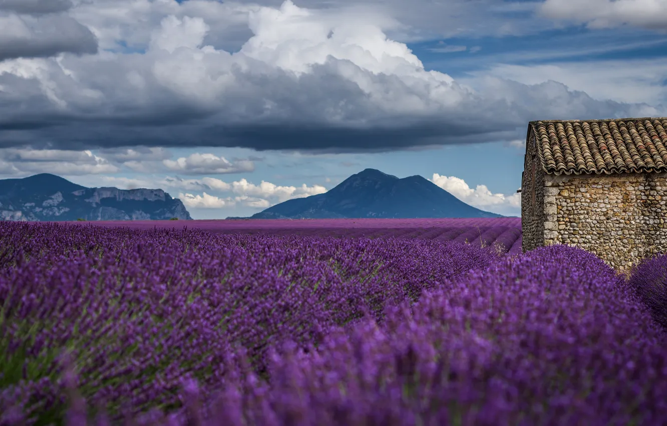 Photo wallpaper field, summer, the sky, clouds, flowers, mountains, nature, France