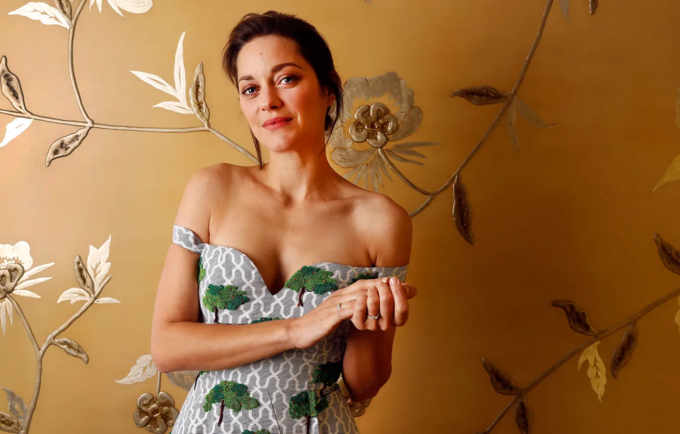 Photo wallpaper photoshoot, Marion Cotillard, Los Angeles Times
