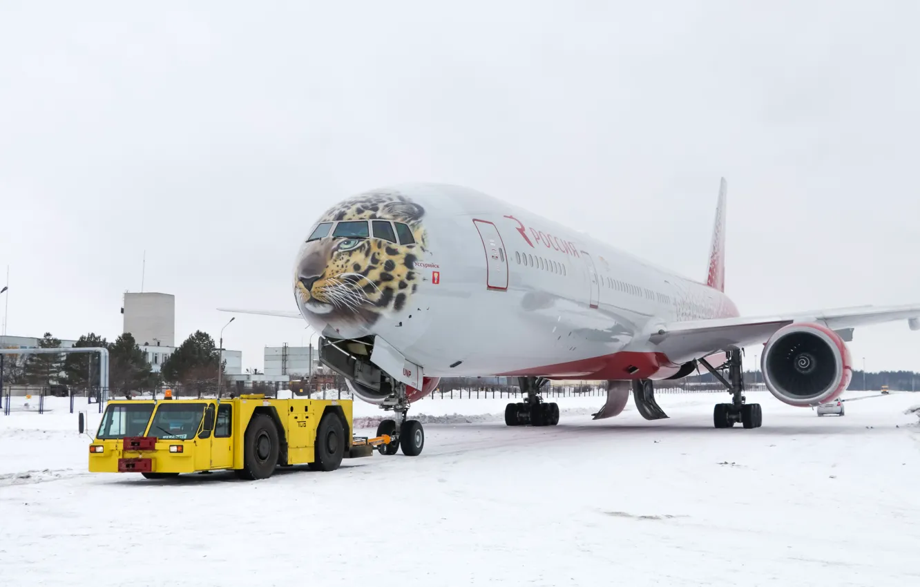 Photo wallpaper winter, snow, tiger, airport, Boeing, Russia, the plane, Boeing