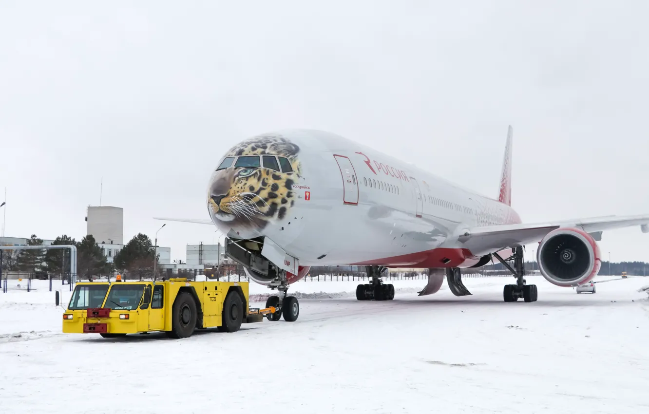 Photo wallpaper Winter, Tiger, Snow, Airport, Boeing, Russia, Boeing, 300