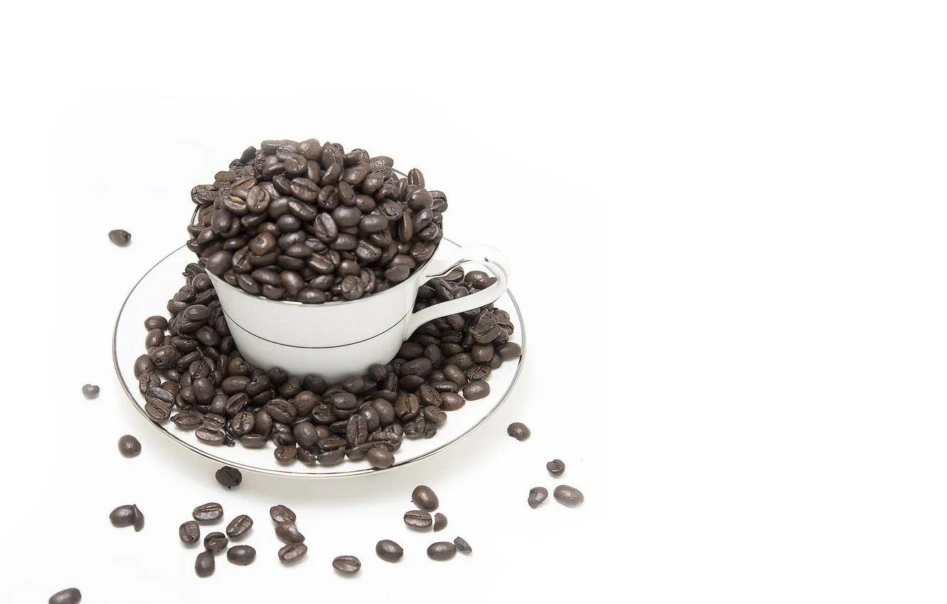 Photo wallpaper cup, coffee, Morning Joe