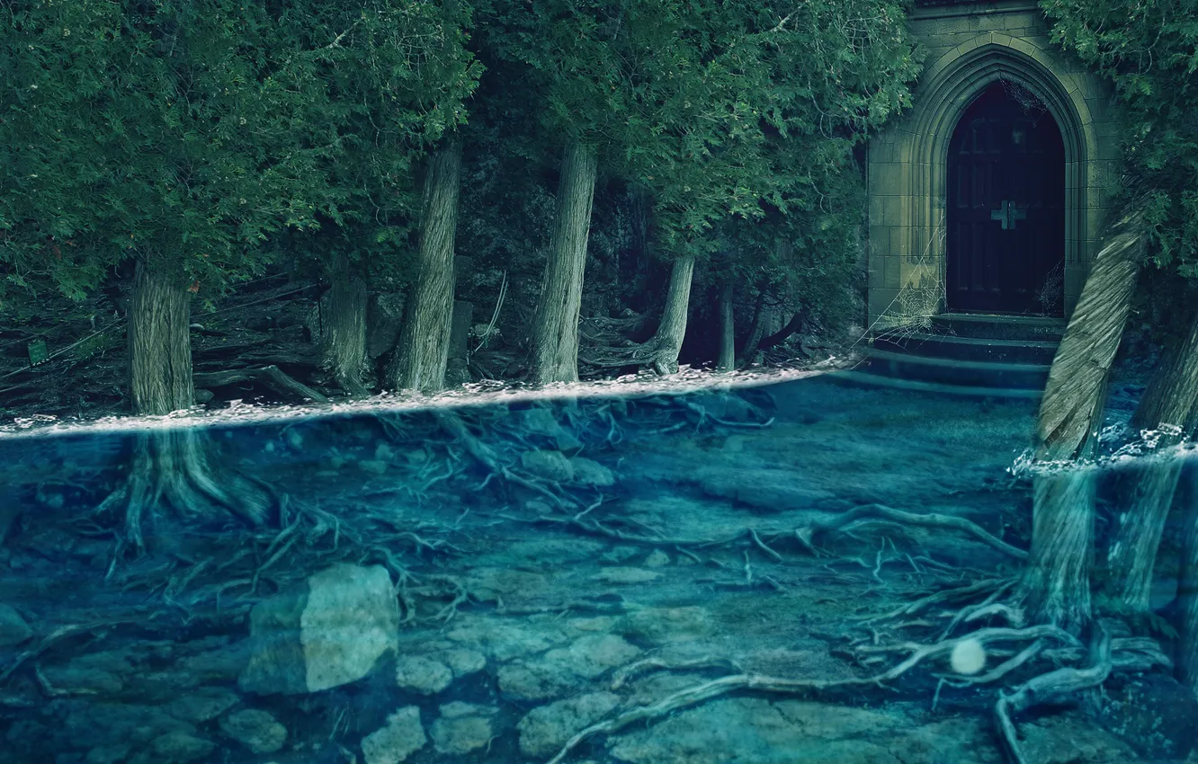 Photo wallpaper water, trees, stones, web, the door, flooding