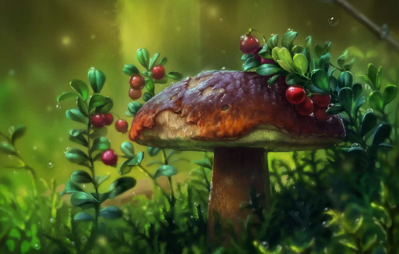 Photo wallpaper forest, berries, mushroom, cranberries