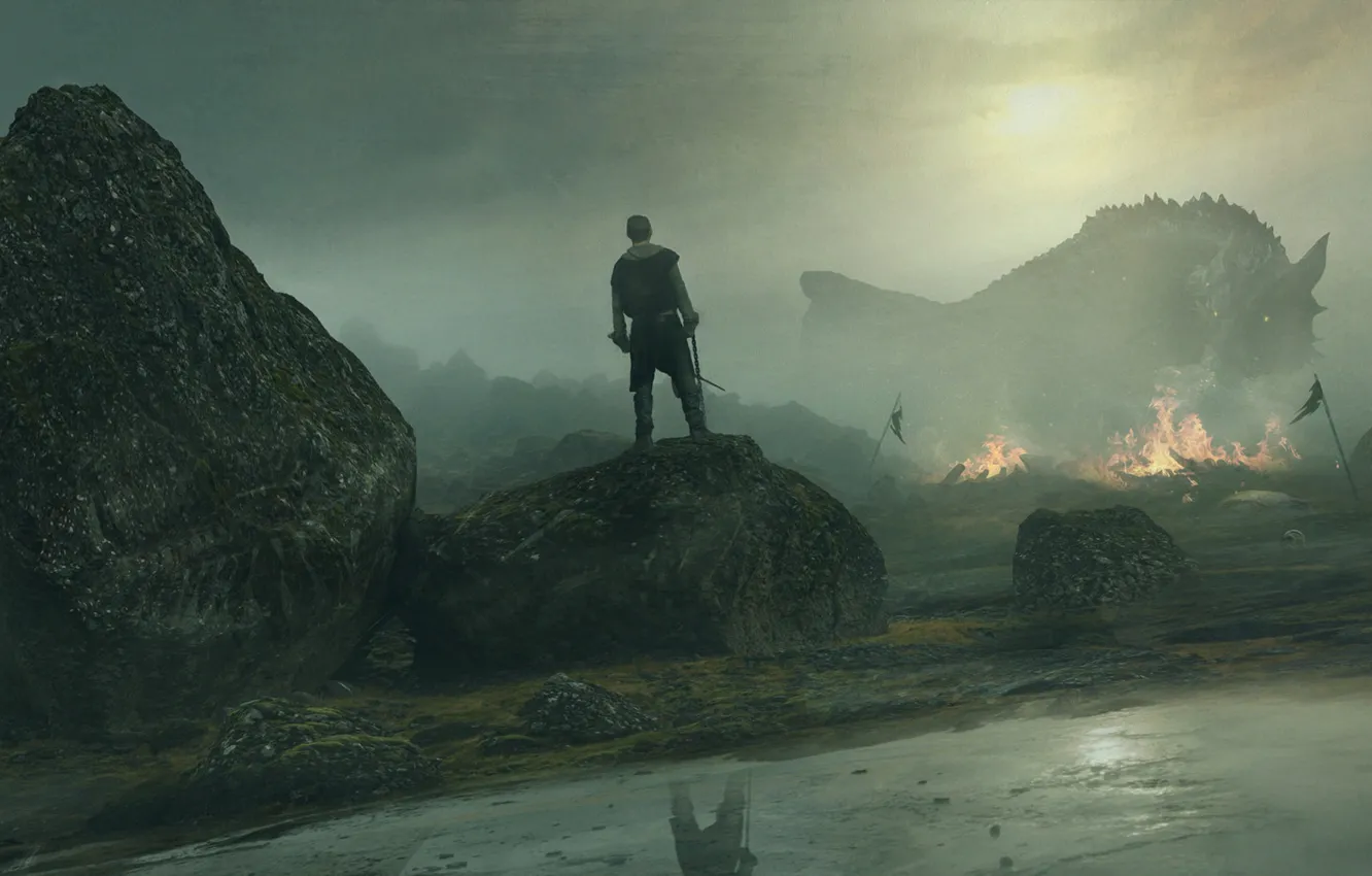 Photo wallpaper dragon, Julian Calle, Without fear, without fear