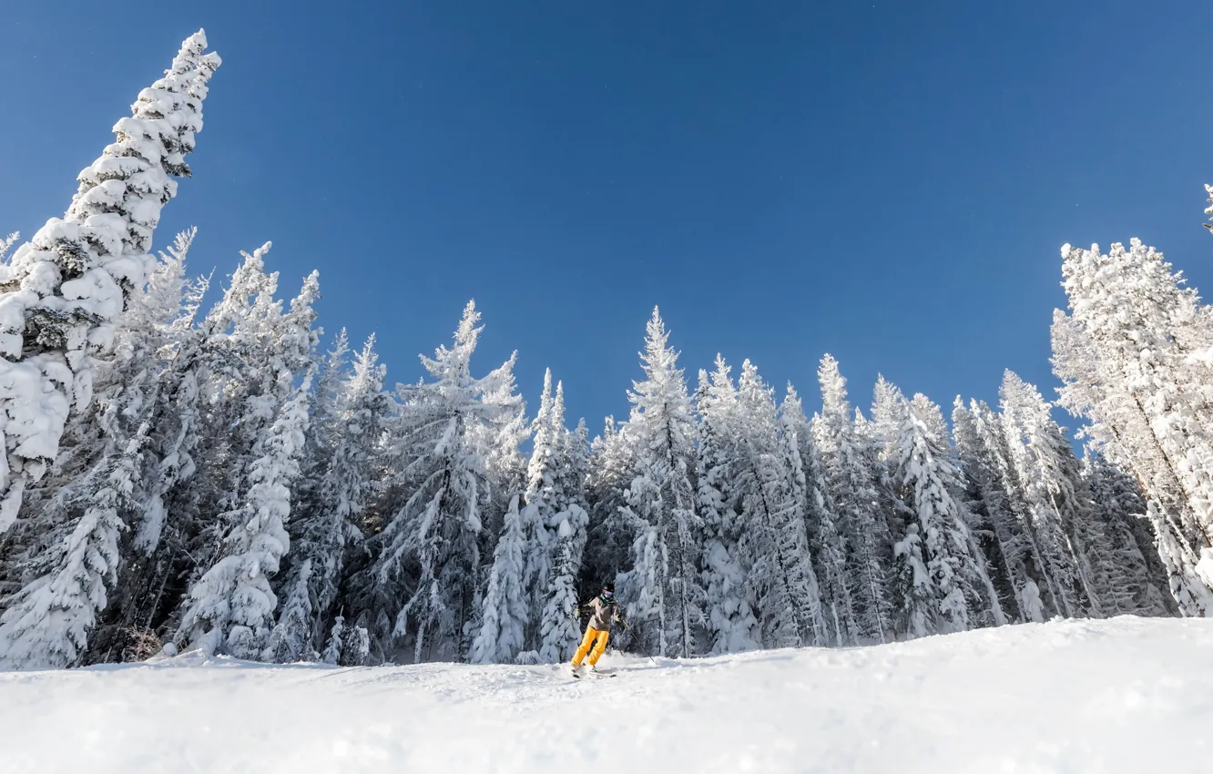 Photo wallpaper winter, snow, skier