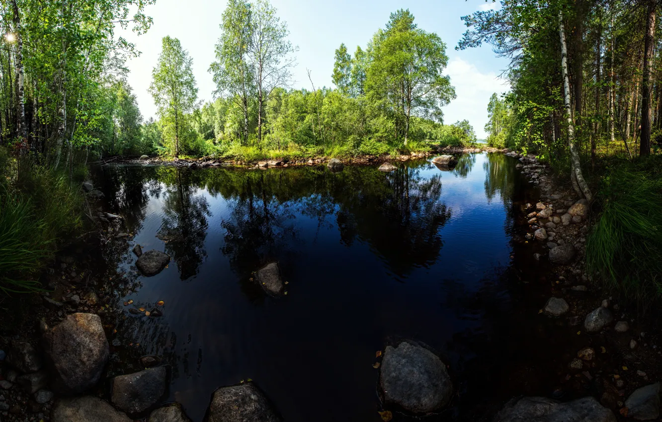 Photo wallpaper greens, summer, trees, river, stones, island