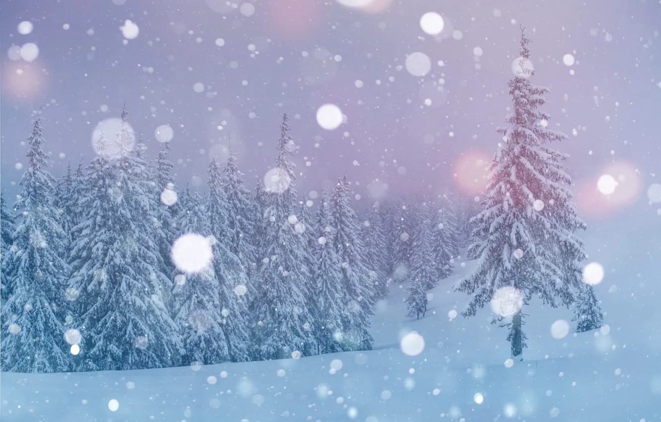 Photo wallpaper winter, forest, the sky, snow, fog, in the snow, tree, treatment