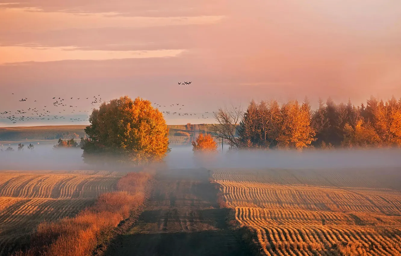 Photo wallpaper autumn, Canada, Albert