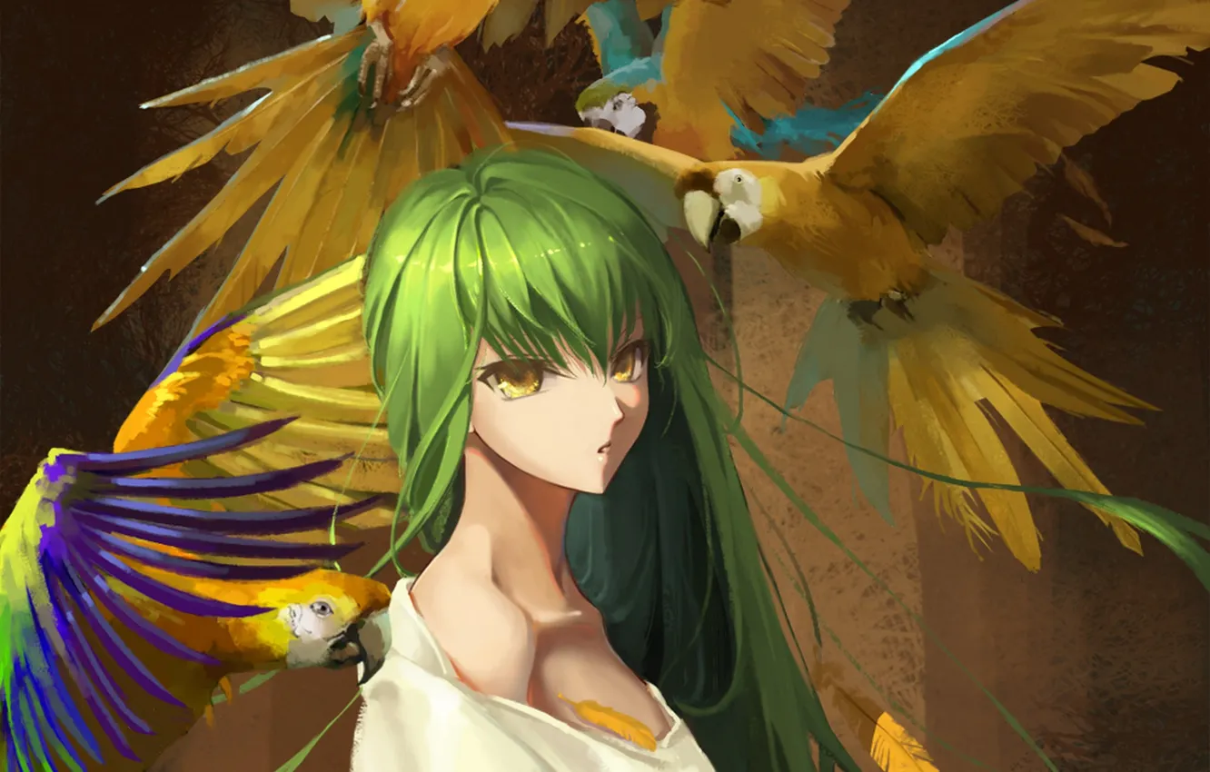 Photo wallpaper girl, anime, feathers, art, parrot, Code Geass, C.C., qinshou