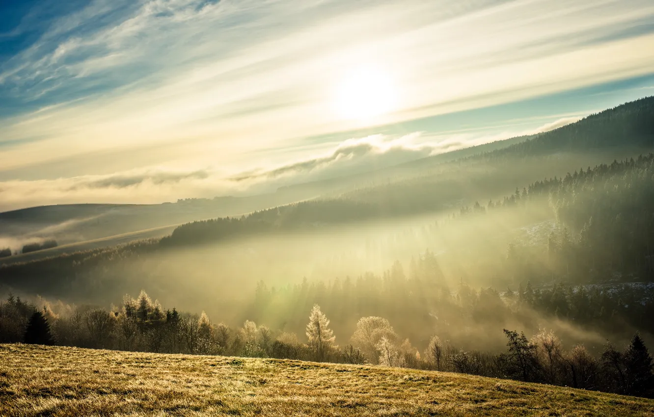 Photo wallpaper fog, Germany, autumn