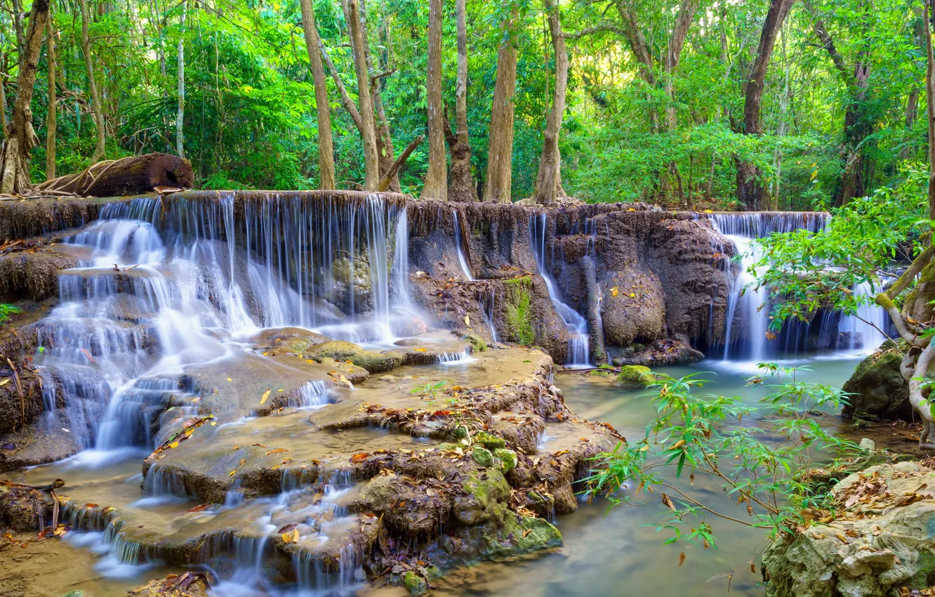 Photo wallpaper forest, stones, waterfall, forest, river, landscape, waterfall, stones
