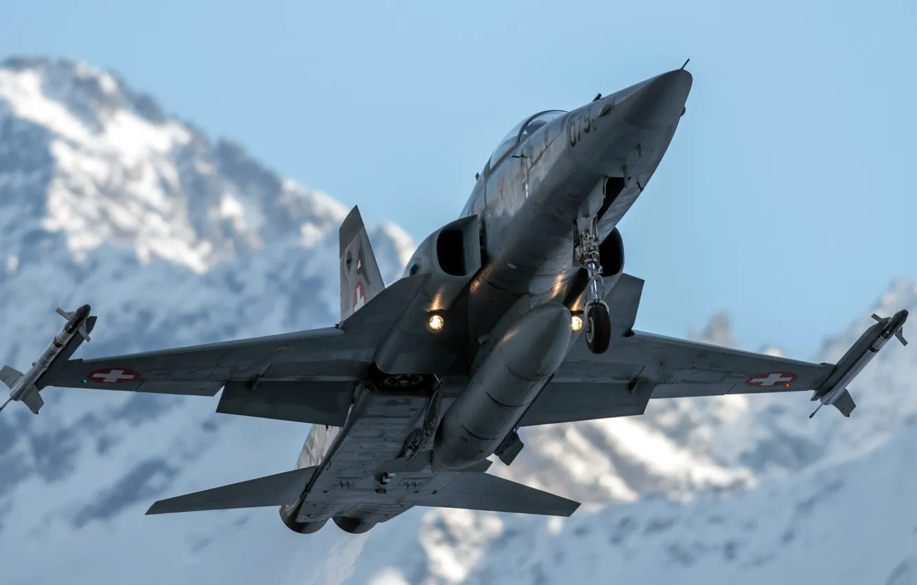 Photo wallpaper weapons, the plane, tiger