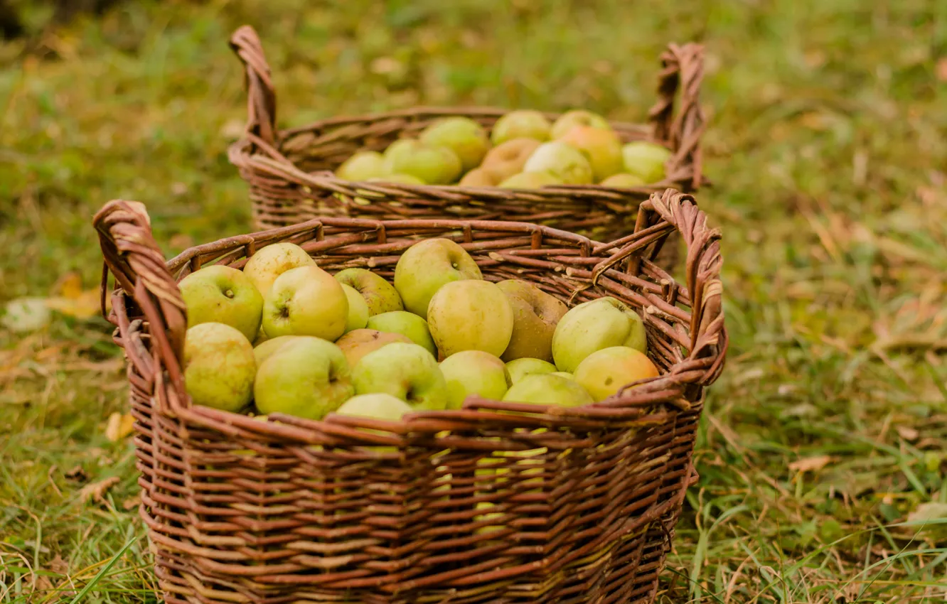 Photo wallpaper autumn, nature, basket, apples, harvest
