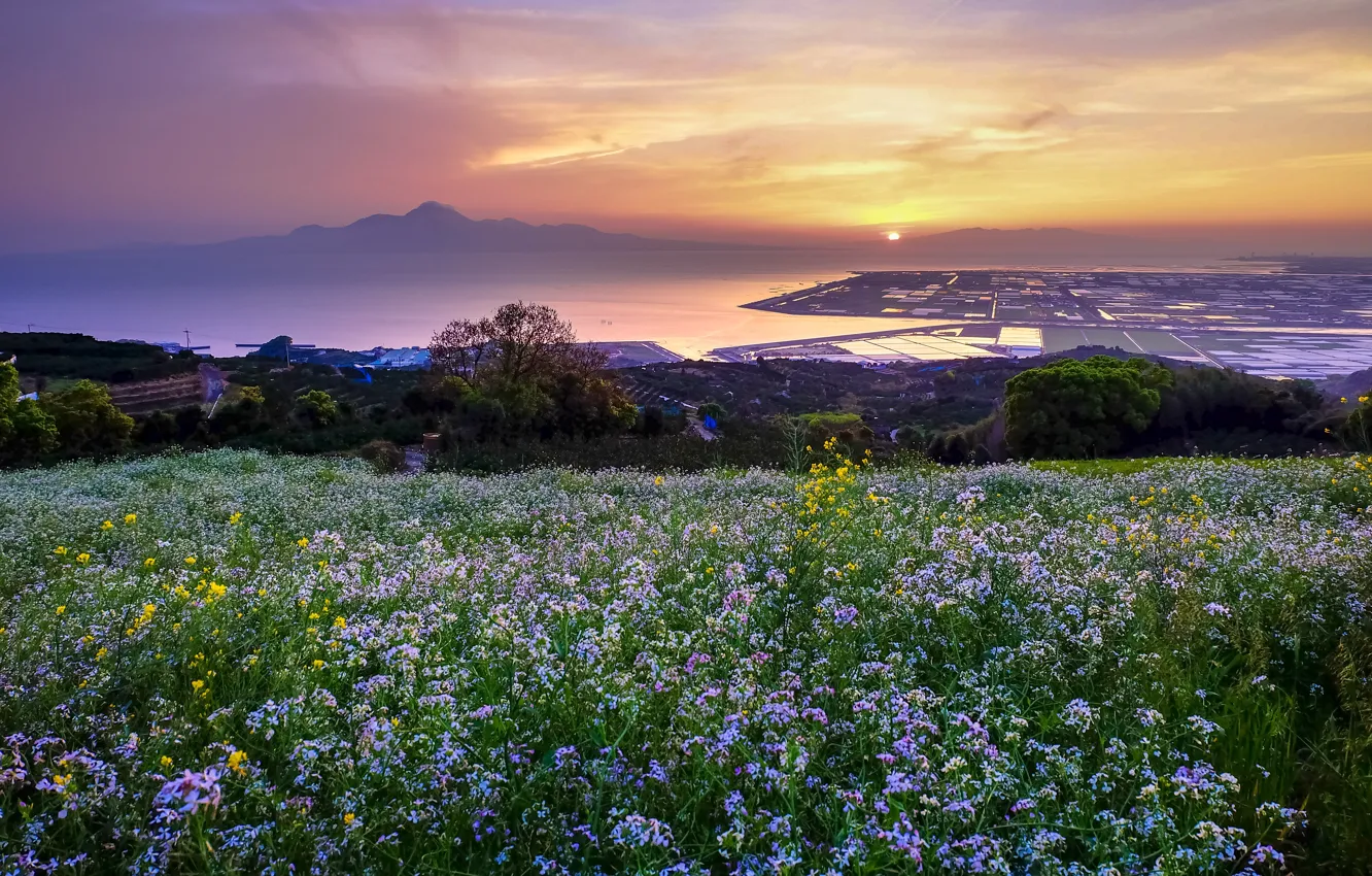 Photo wallpaper grass, landscape, sunset, flowers, mountains, the city, river, Japan