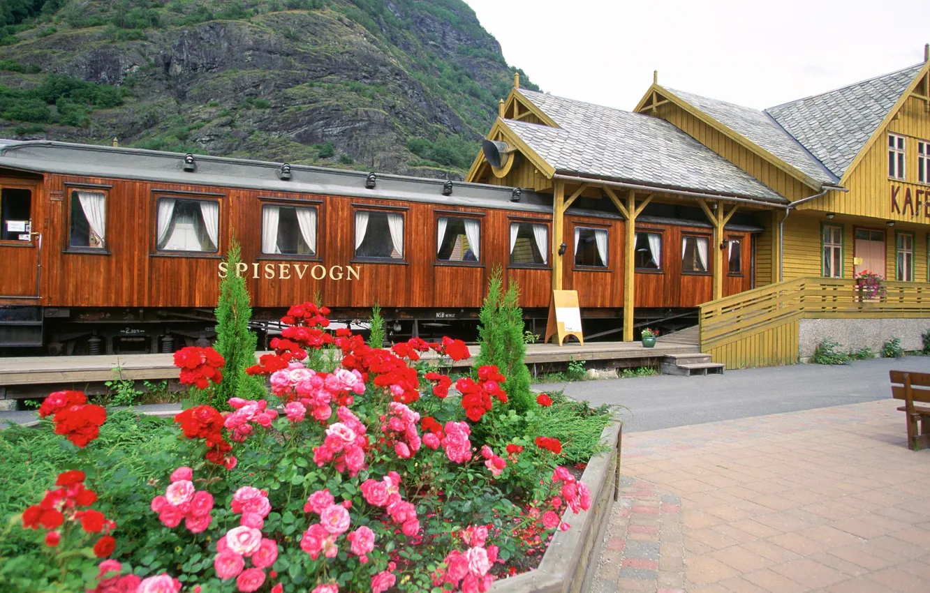 Photo wallpaper home, cars, Norway, cafe