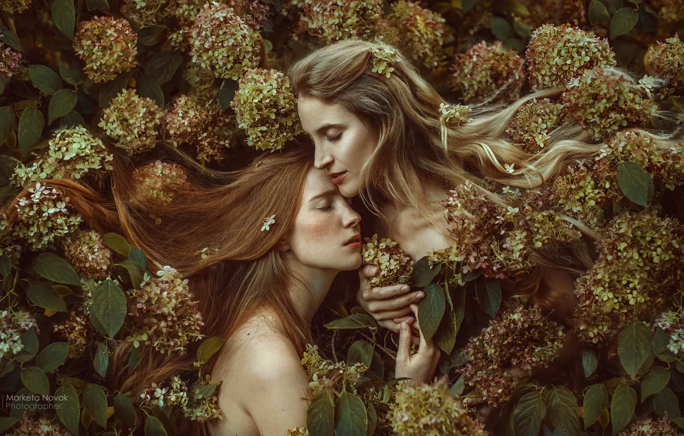 Photo wallpaper flowers, mood, blonde, red, a couple, two girls, redhead, hydrangea