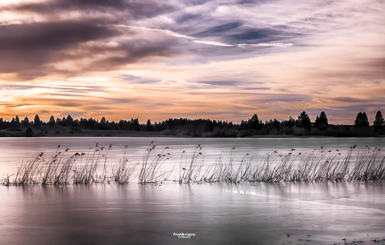 Photo wallpaper sunset, lake, reed