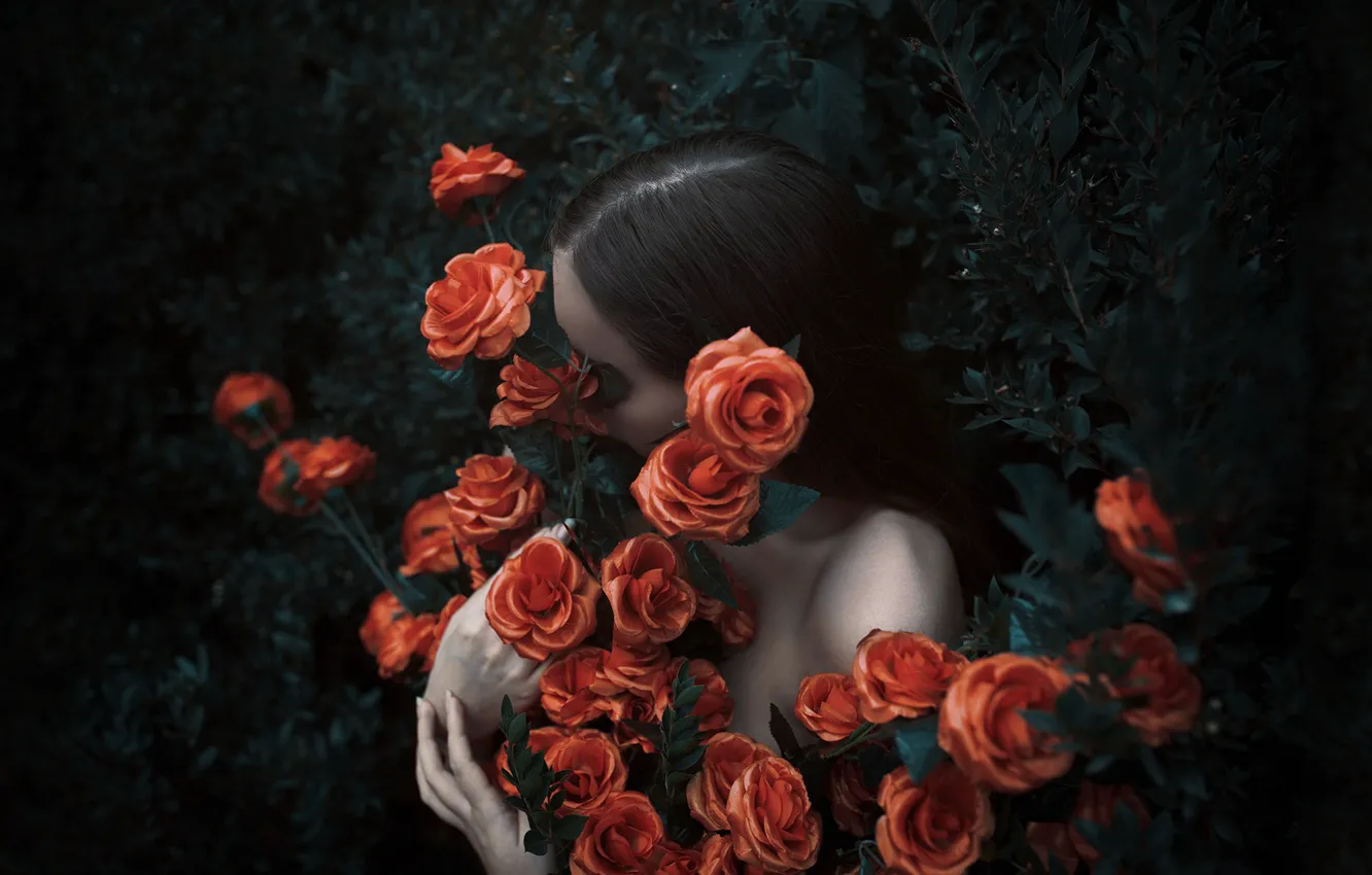 Photo wallpaper flowers, mood, tenderness, roses, hands, brunette, shoulders, the bushes
