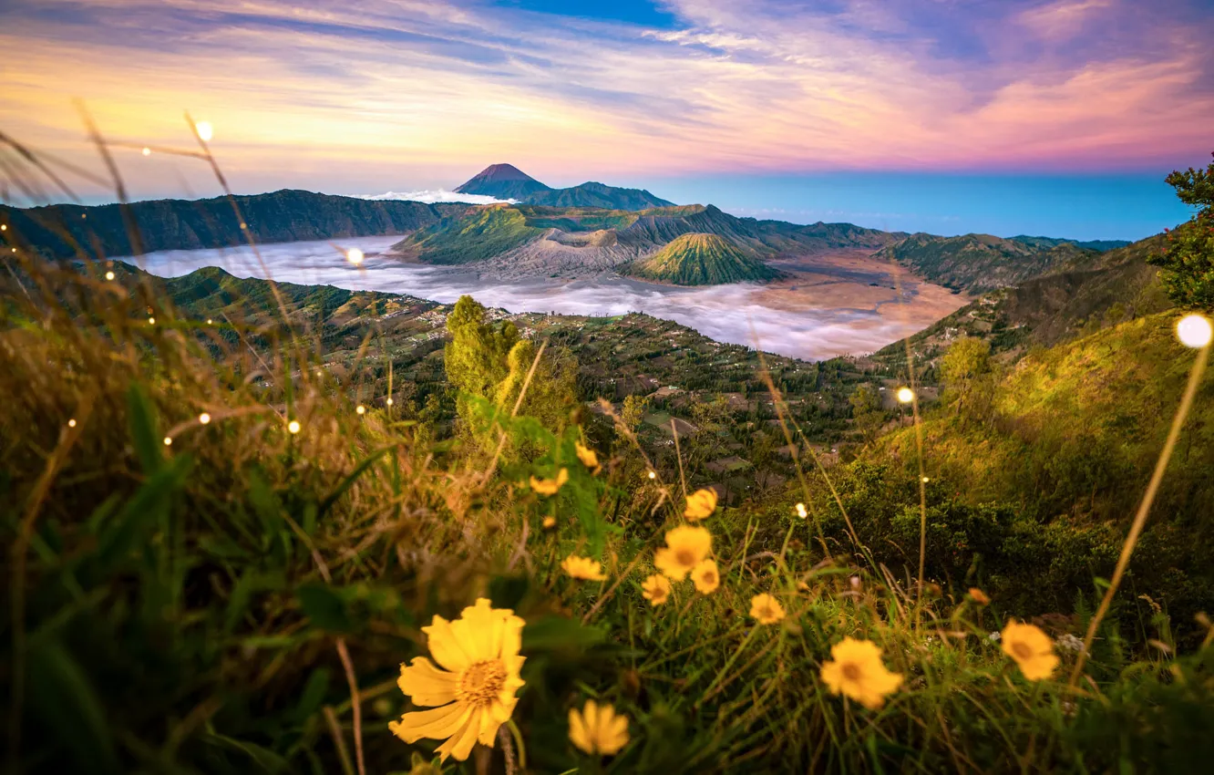 Photo wallpaper grass, clouds, landscape, flowers, nature, island, the volcano, valley