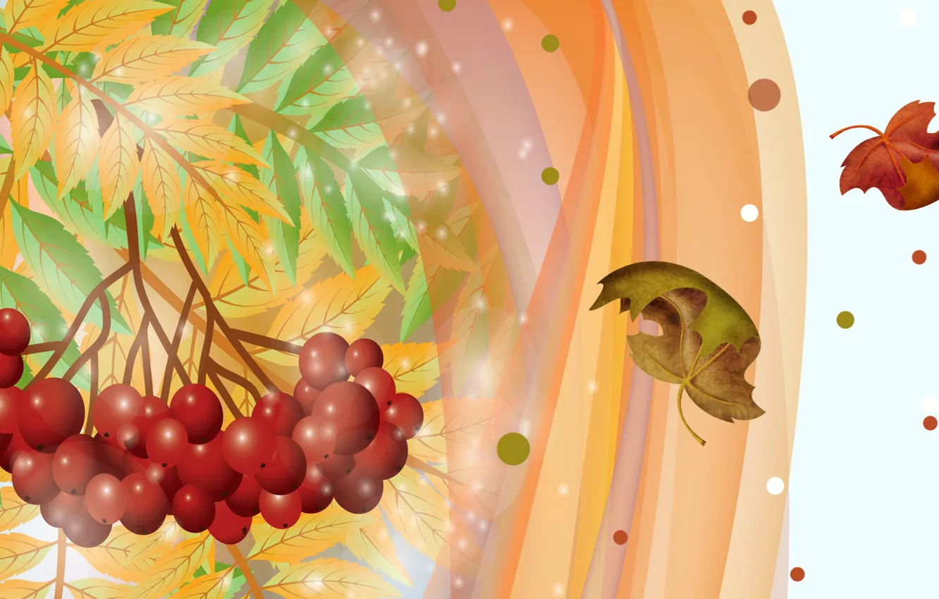 Photo wallpaper autumn, leaves, berries, collage, vector