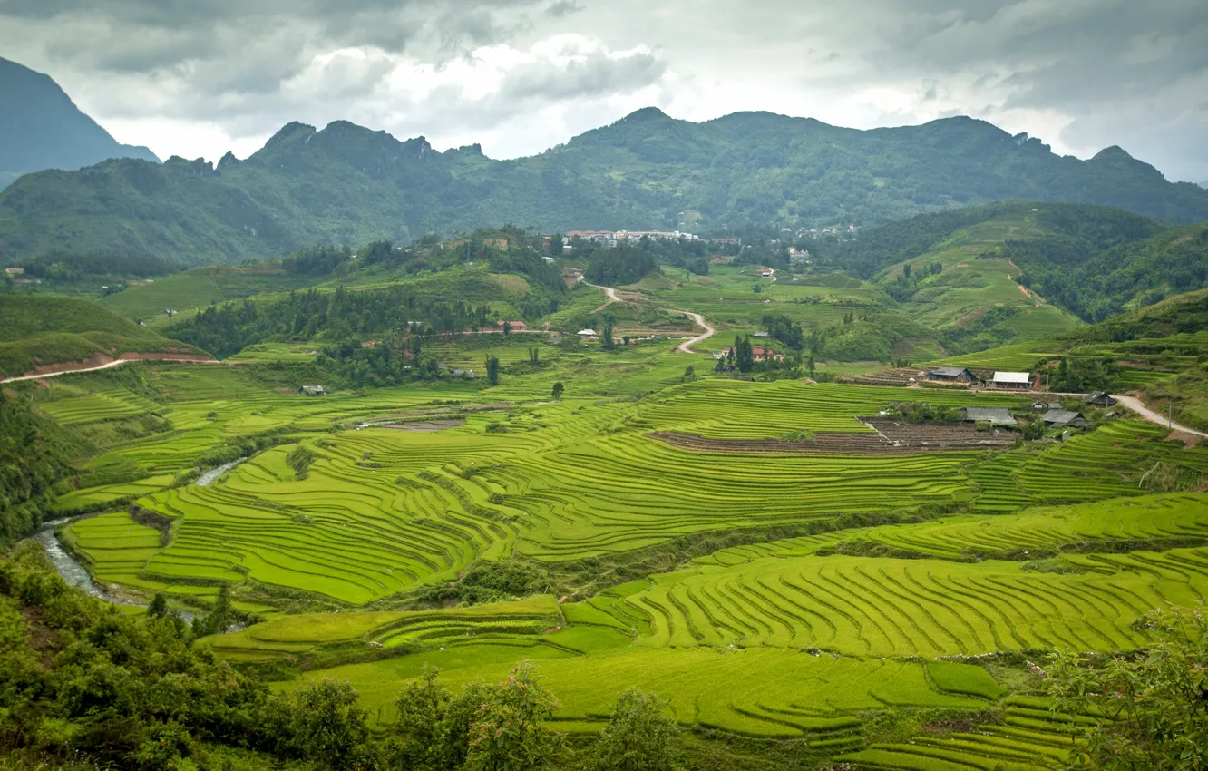 Photo wallpaper summer, mountains, Asia, summer, Vietnam, mountain, Asia, rice fields