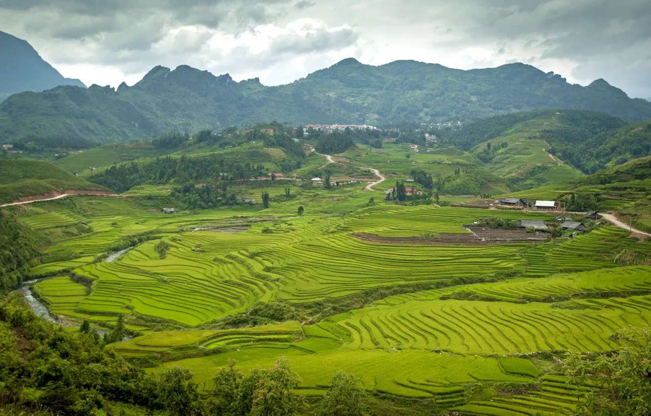 Photo wallpaper summer, mountains, Asia, Vietnam, Mountain, Summer, Asia, rice fields