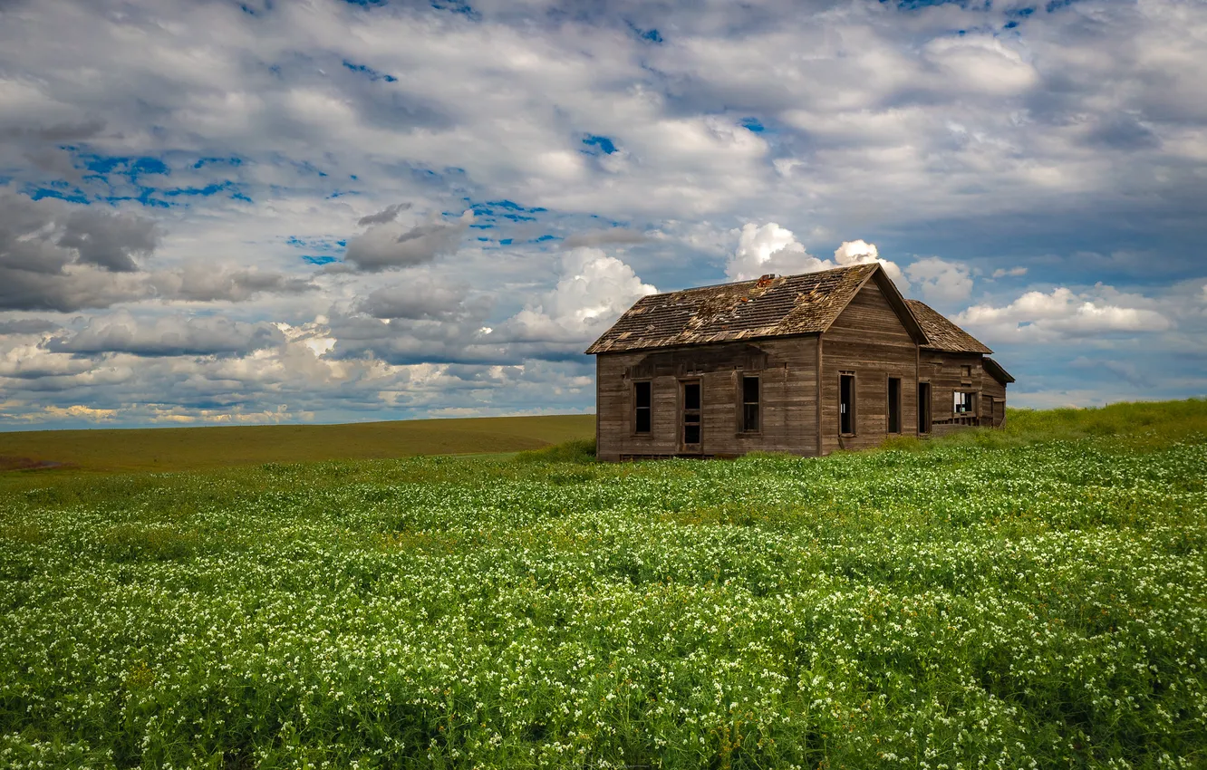 Photo wallpaper field, grass, landscape, house, hut, abandoned house, old house