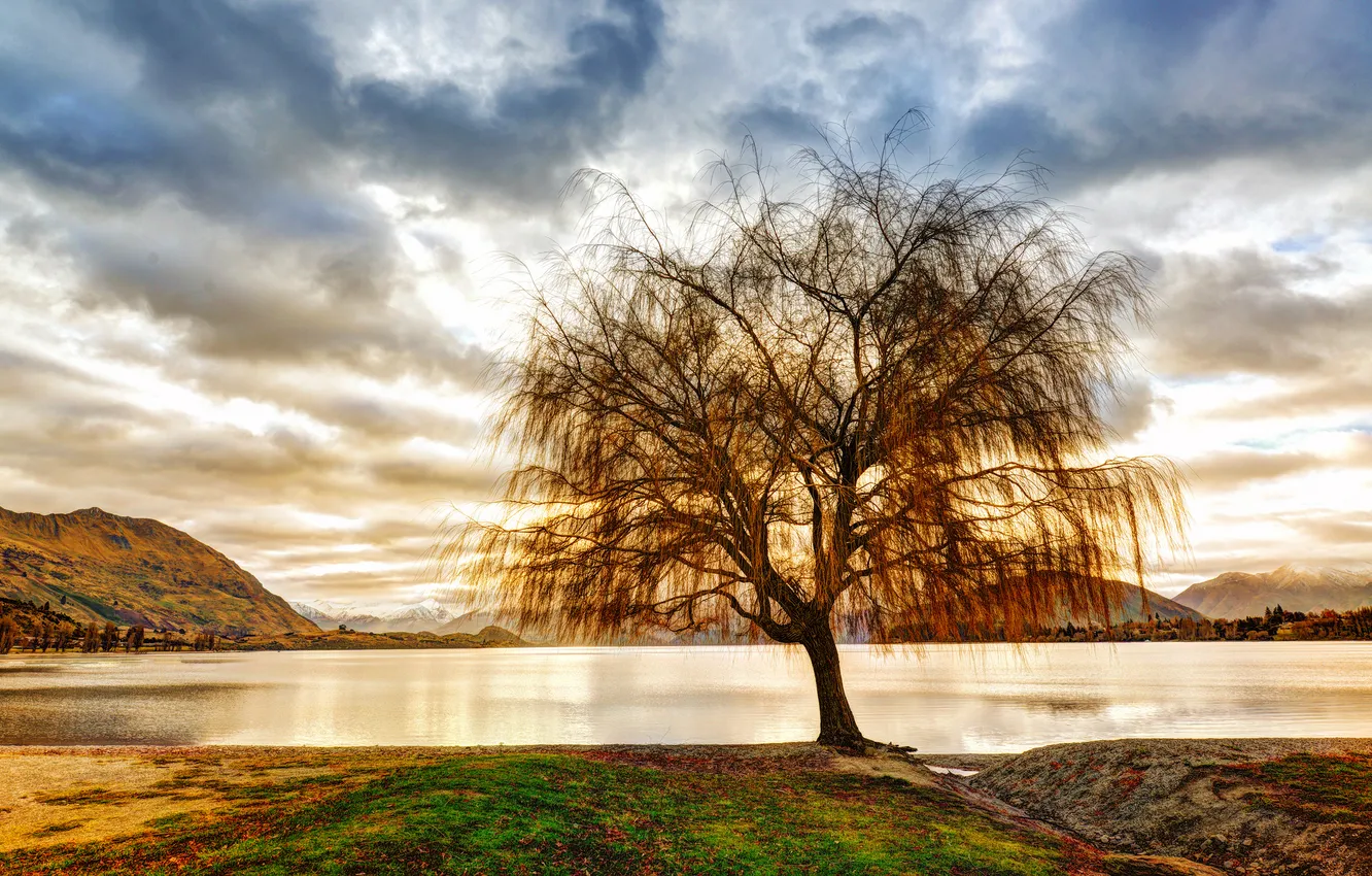 Photo wallpaper the sky, clouds, trees, landscape, mountains, lake