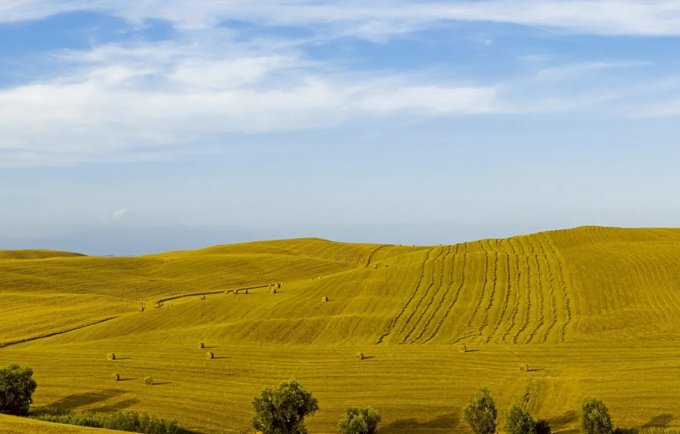 Photo wallpaper field, the sky, trees, hills