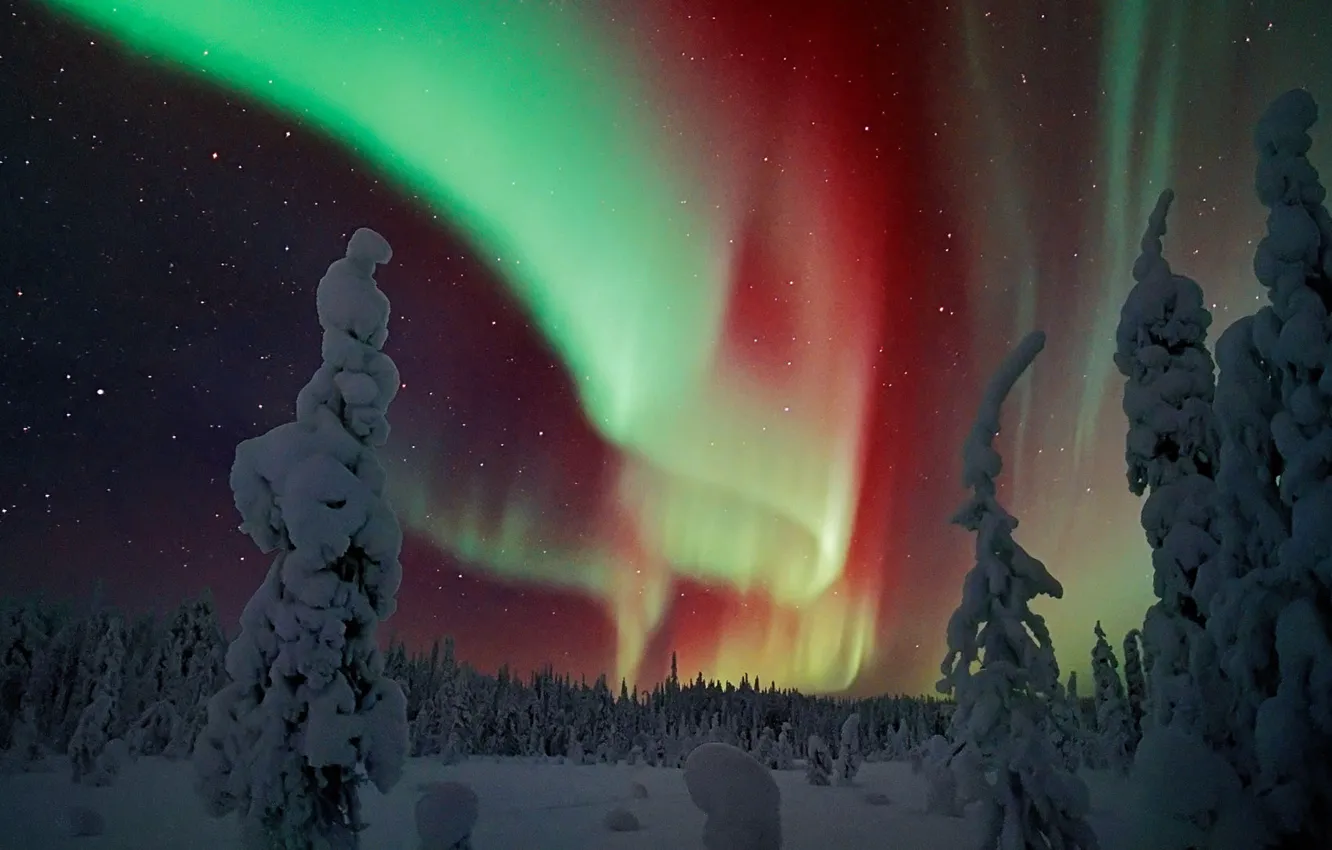 Photo wallpaper winter, snow, night, Northern lights, Finland, Lapland