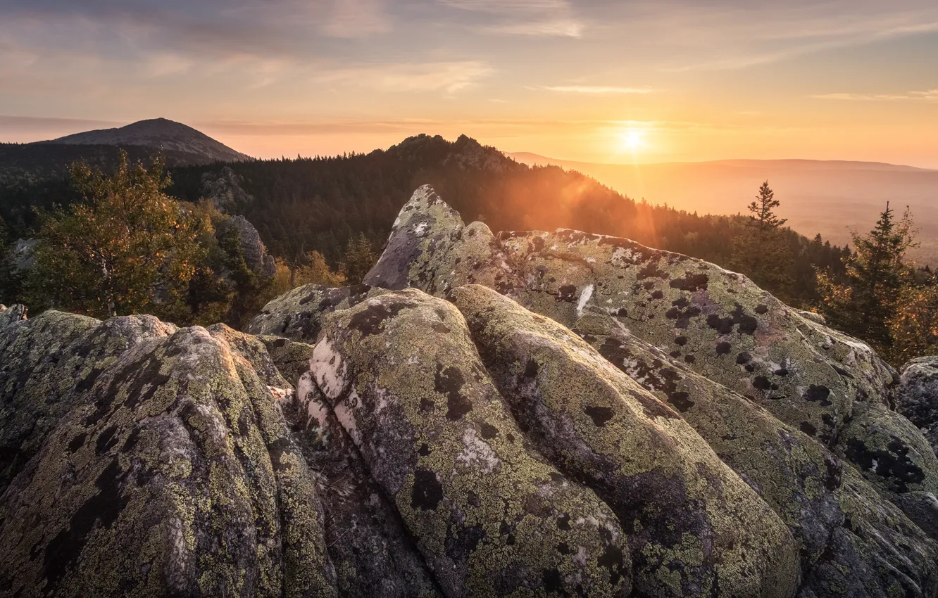 Photo wallpaper autumn, forest, the sky, the sun, clouds, rays, light, sunset