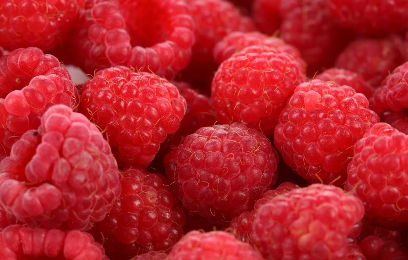 Photo wallpaper raspberry, the sweetness, berry