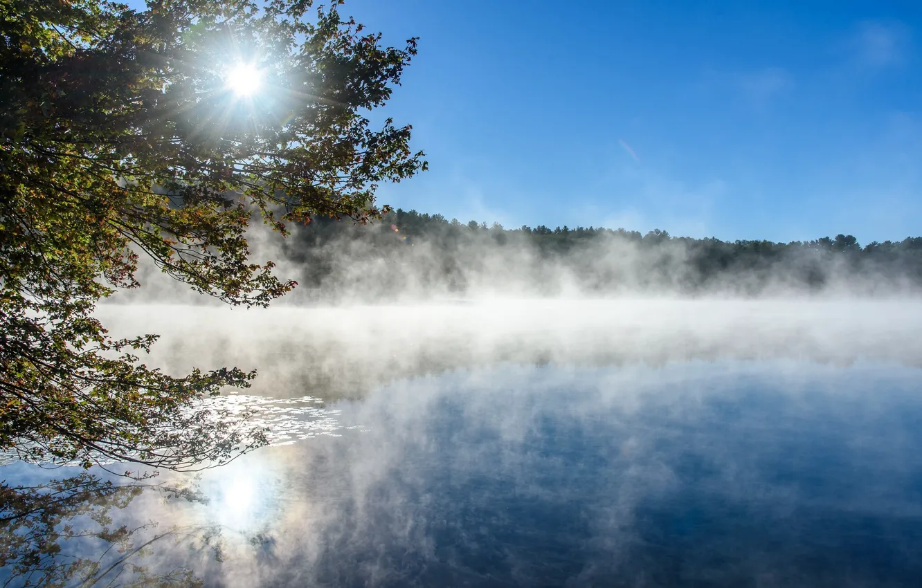 Photo wallpaper the sky, fog, lake