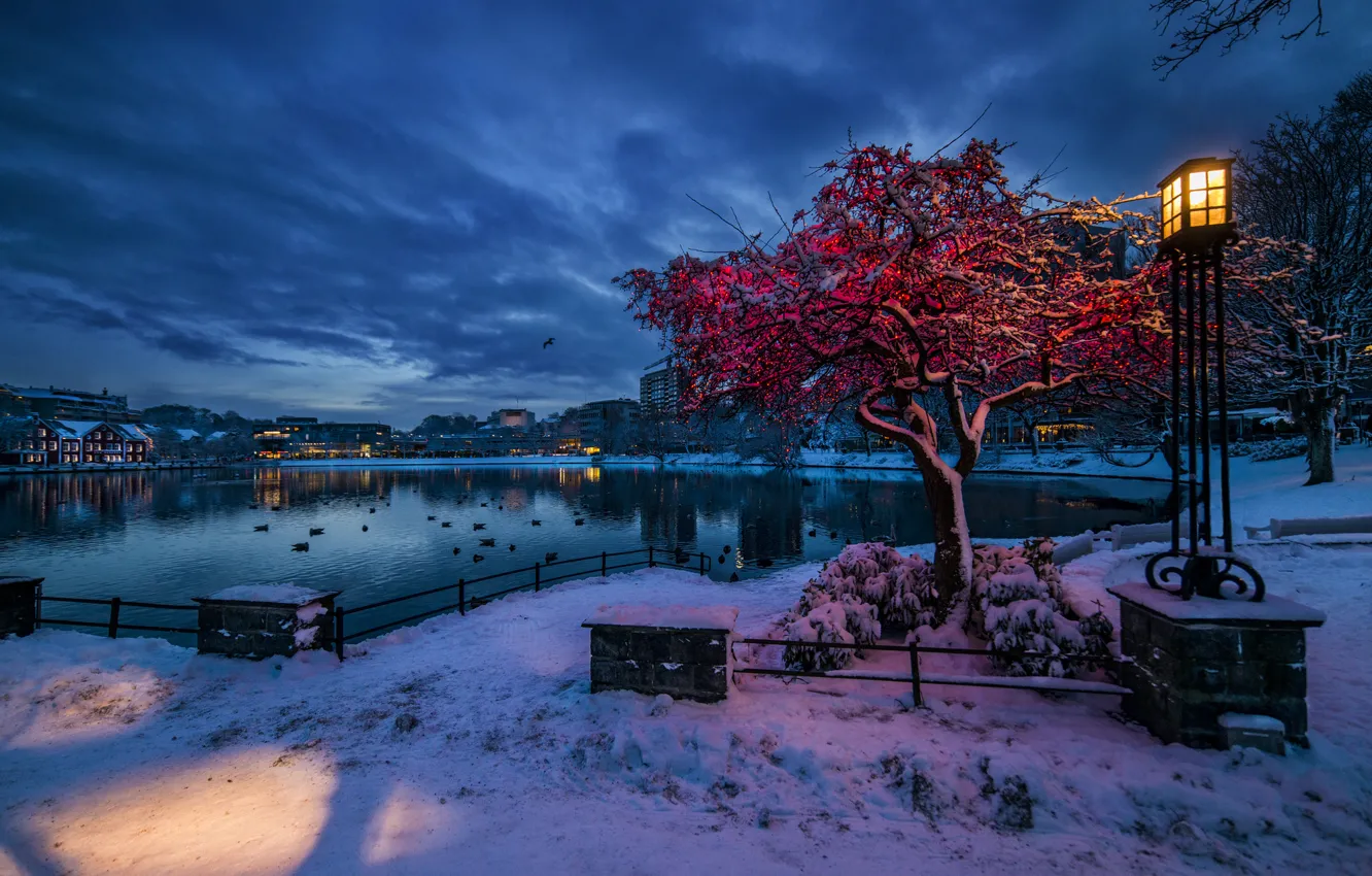 Photo wallpaper winter, snow, lights, Norway, lantern, Stavanger, Rogaland, the evening twilight
