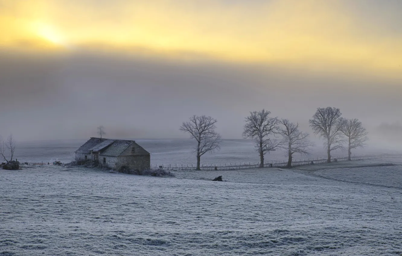 Photo wallpaper field, fog, house