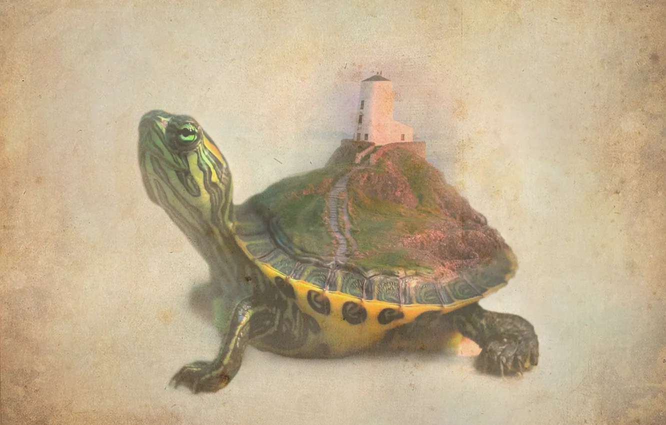 Photo wallpaper landscape, nature, fantasy, lighthouse, turtle, the illusion of nature.