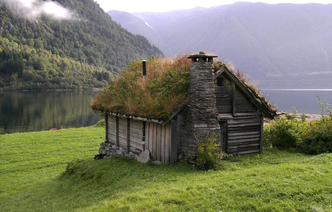 Photo wallpaper forest, the sky, grass, clouds, trees, landscape, mountains, nature