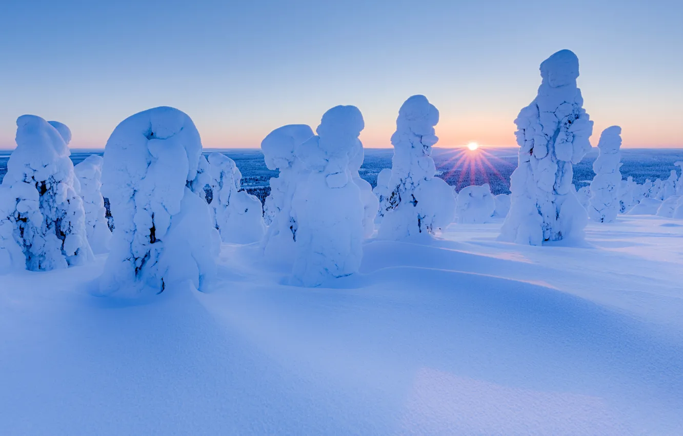 Photo wallpaper winter, Finland, Posio, National Park Riisitunturi