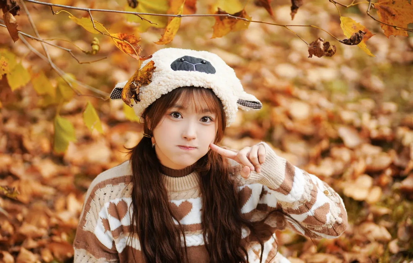 Photo wallpaper woman, beautiful, model, pretty, asian, pose, fall, sweater