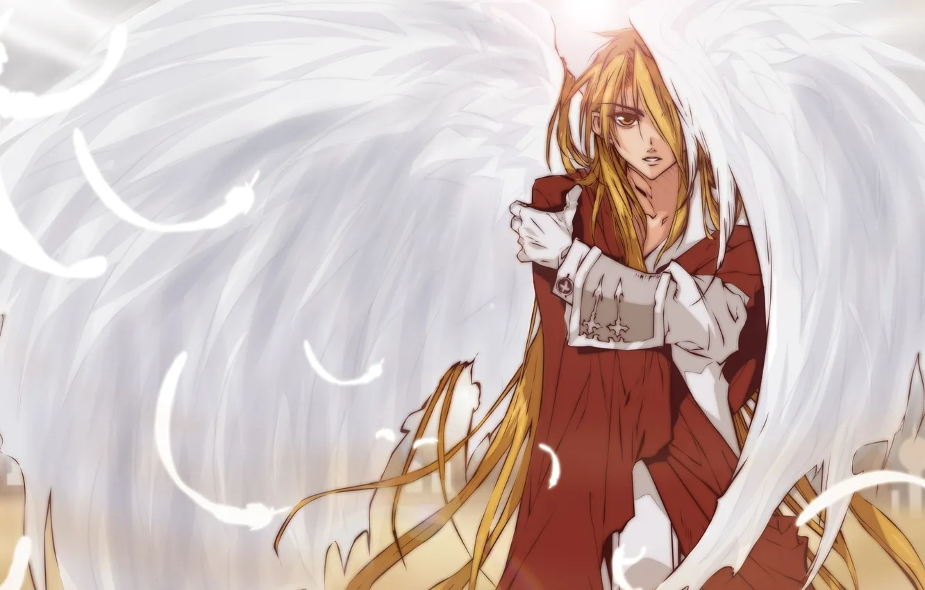 Photo wallpaper wings, anime, art, guy, ixaga, d. n. angel, krad